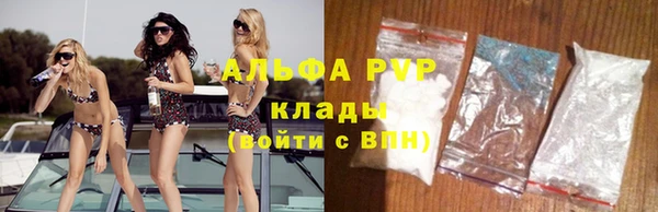 прущие грибы Белокуриха