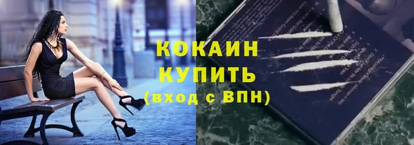 прущие грибы Белокуриха