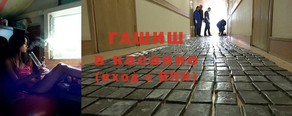 прущие грибы Белокуриха