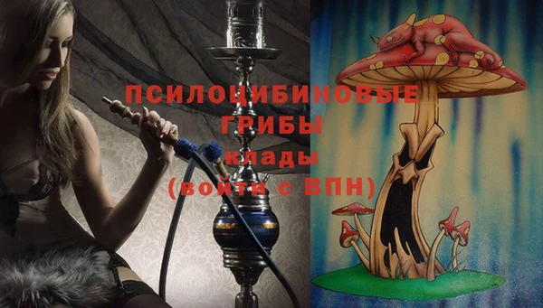 прущие грибы Белокуриха